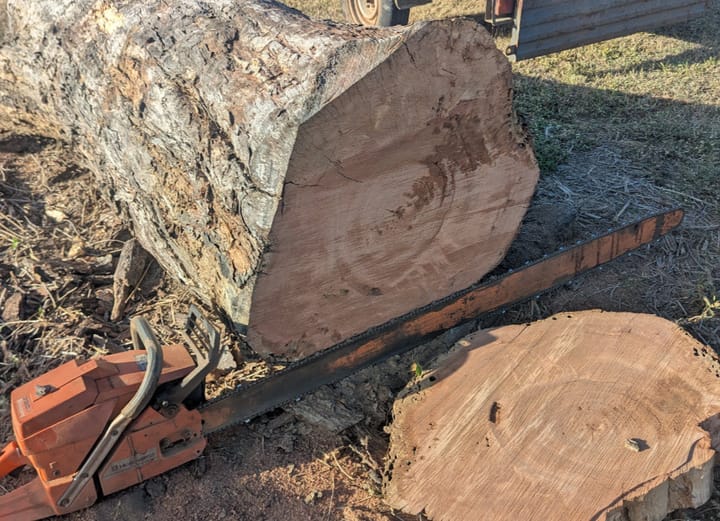 Paperbark log being slabbed as a fundraiser for the Boiler Block project.